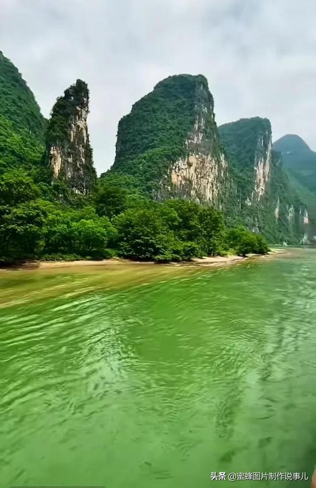 墨泼大地诗书画